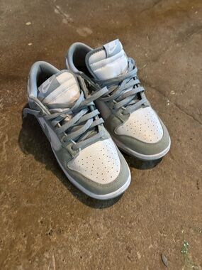 Nike Dunks Suede Low-Top Sneakers - Light Gray & White